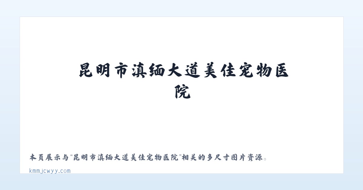 昆明市滇缅大道美佳宠物医院 主图
