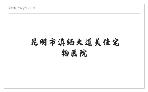 昆明市滇缅大道美佳宠物医院 缩略图