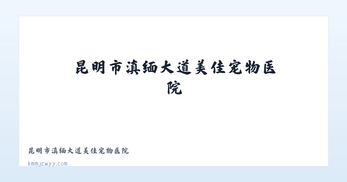 昆明市滇缅大道美佳宠物医院 主图