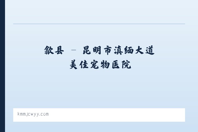 夏县 - 昆明市滇缅大道美佳宠物医院 列表图