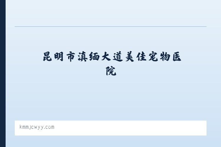 河浦街道 - 昆明市滇缅大道美佳宠物医院 列表图