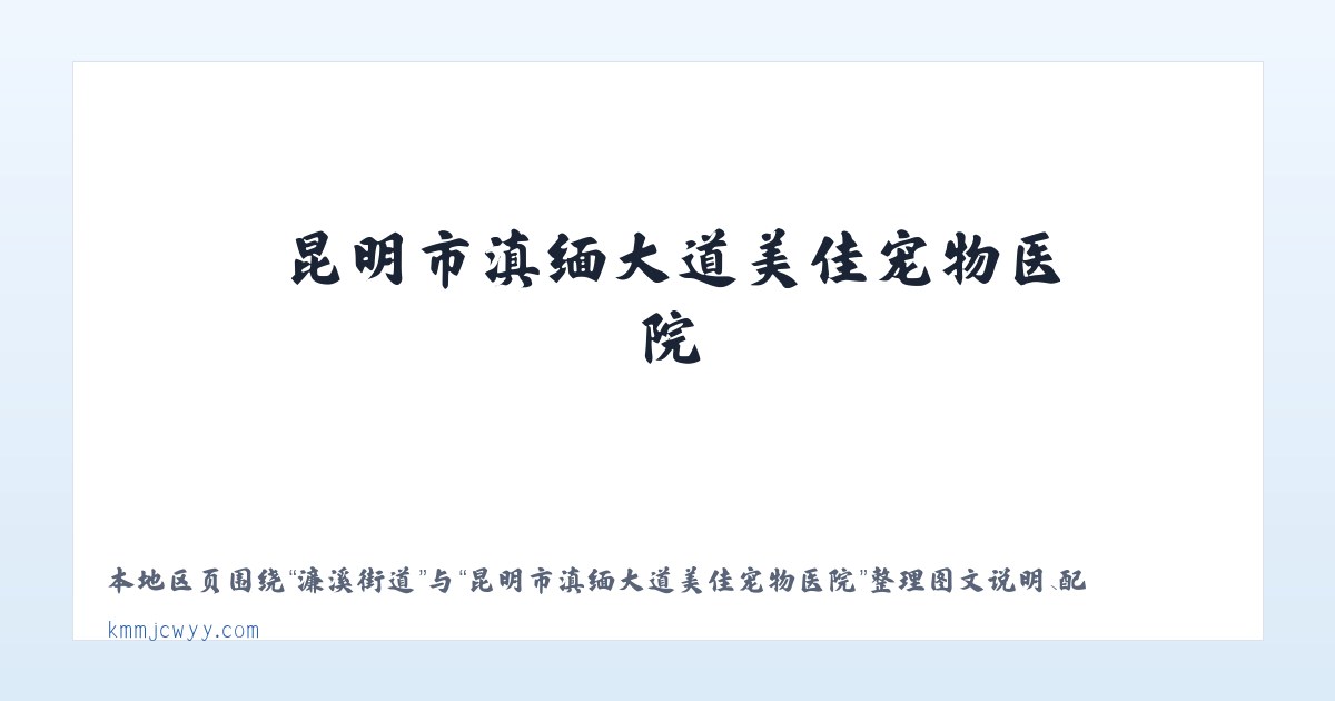 河浦街道 - 昆明市滇缅大道美佳宠物医院 主图