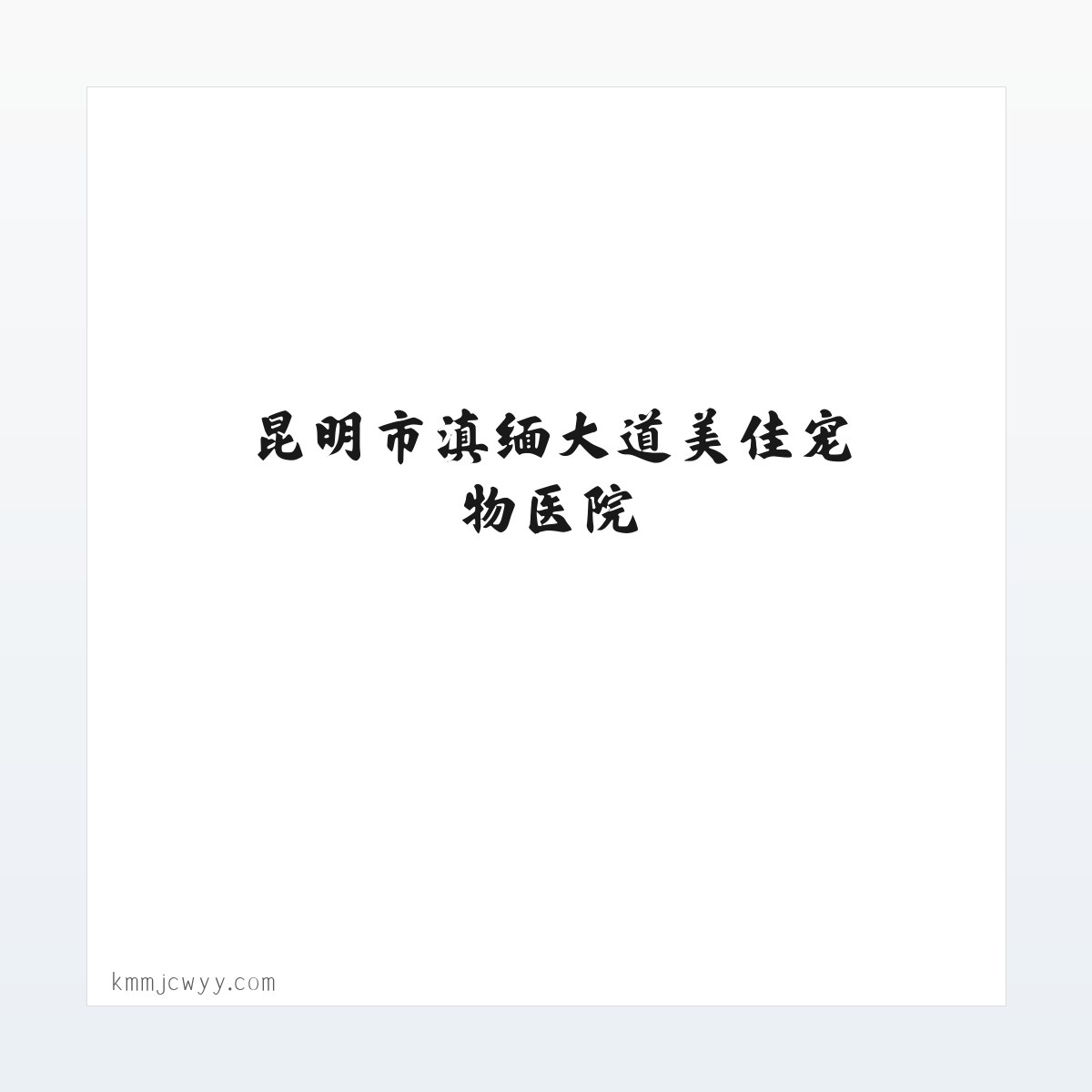 Products - 昆明市滇缅大道美佳宠物医院 方图